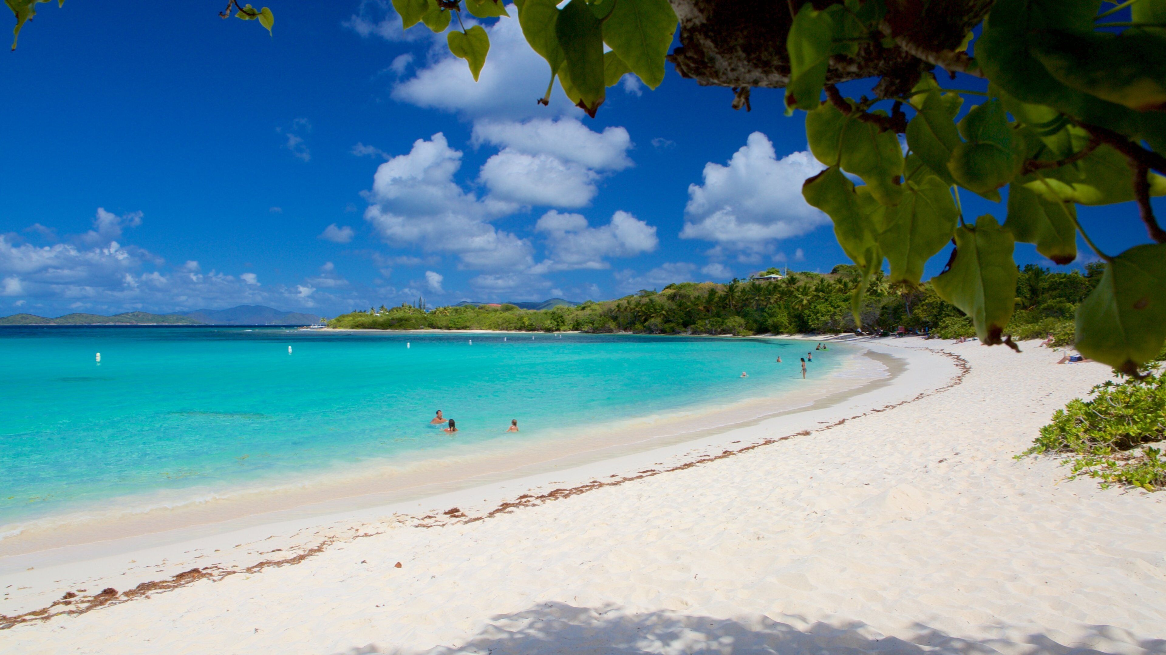 A beach with clear turquoise water, white sand, and green foliage in the foreground.