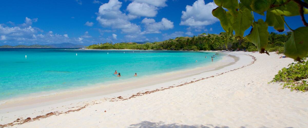 A beach with clear turquoise water, white sand, and green foliage in the foreground.