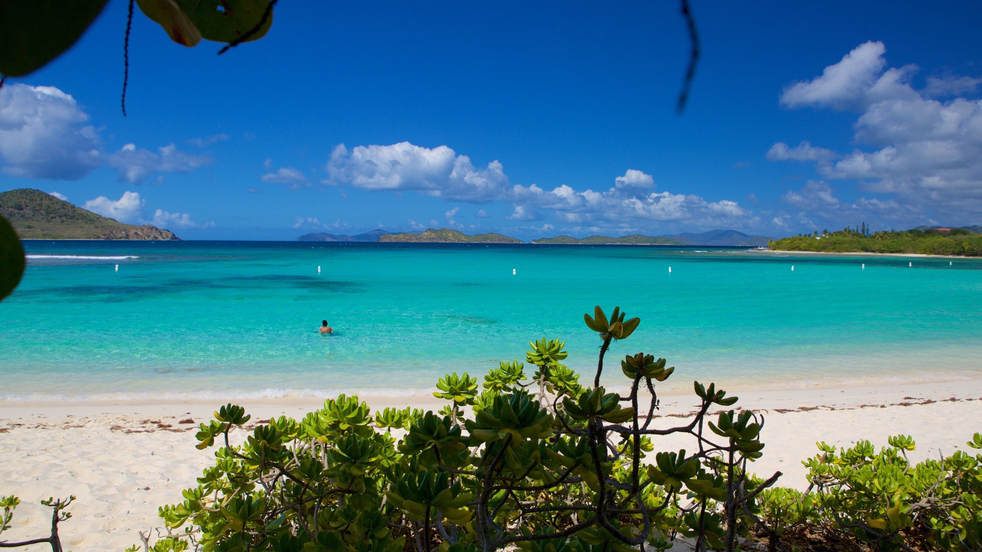 A beach with clear turquoise water, a person swimming, and green vegetation in the foreground.