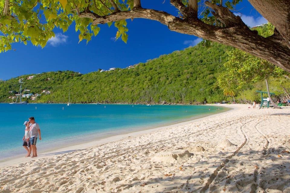 Une plage de sable fin bordée d’une eau turquoise et limpide, un grand arbre et, au loin, une colline verdoyante.