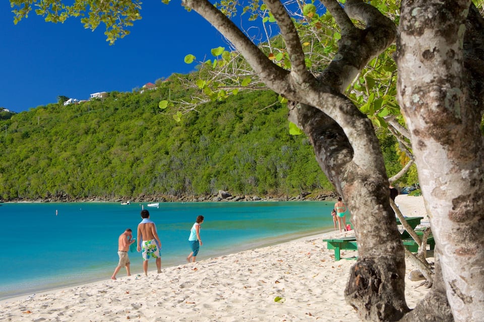A beach with clear turquoise water, a sandy shore, and a green hill in the background.