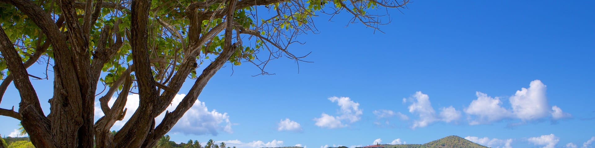 Sapphire Beach featuring a beach and tropical scenes