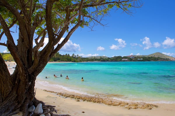 Sapphire Beach das einen Strand und tropische Szenerien