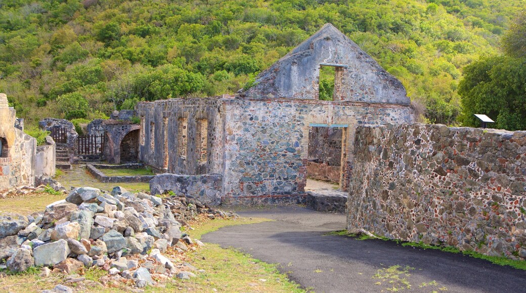 Annaberg Plantation featuring heritage elements and a ruin