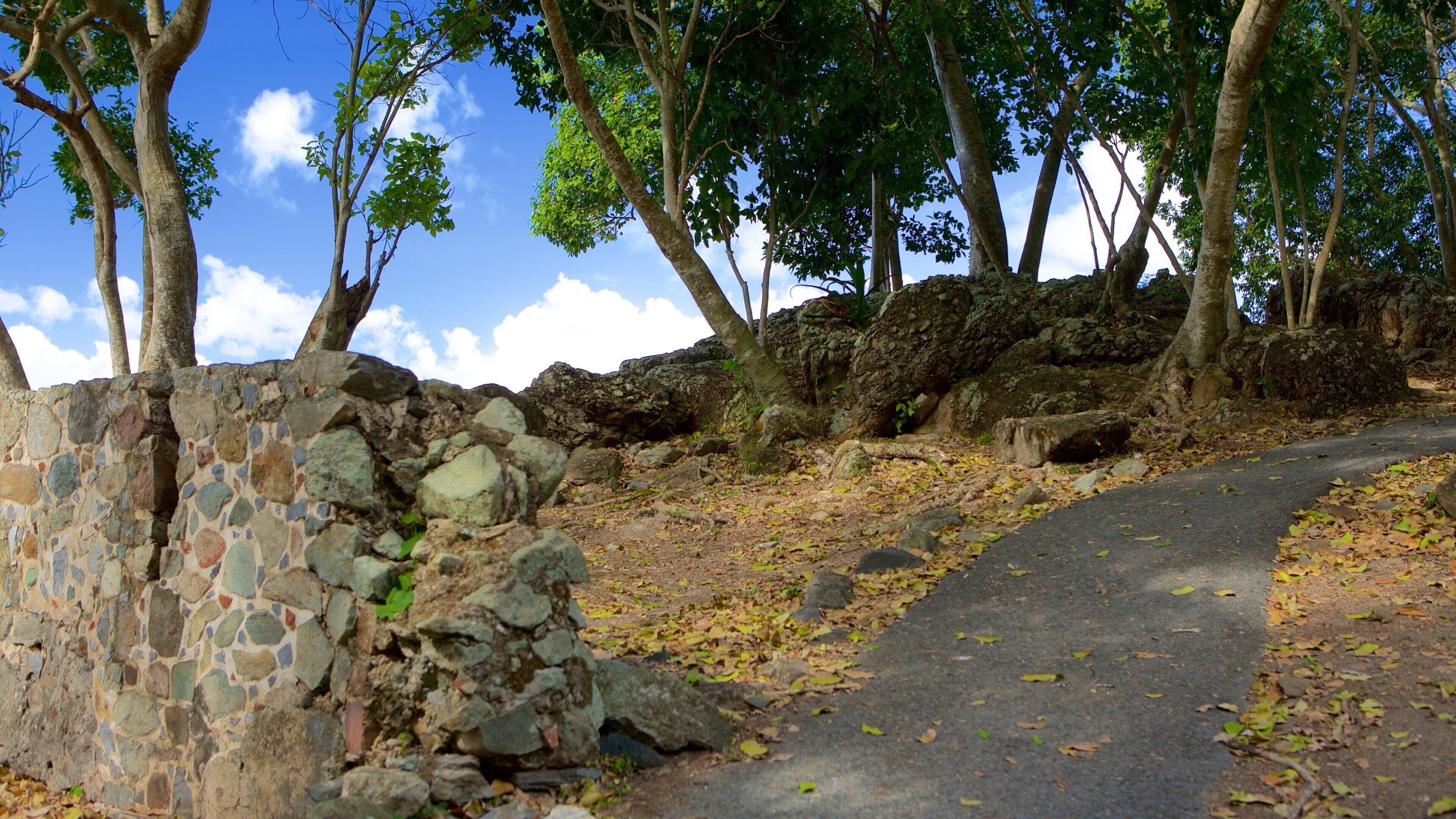 Annaberg Plantation som viser en have