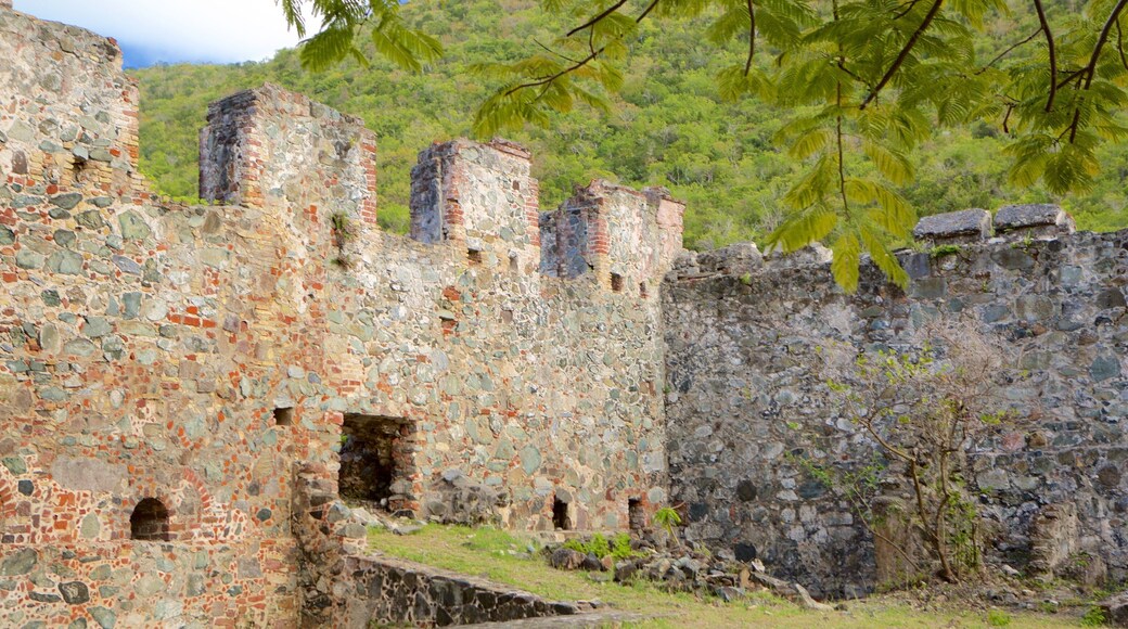 Annaberg Plantation inclusief een ruïne en historisch erfgoed