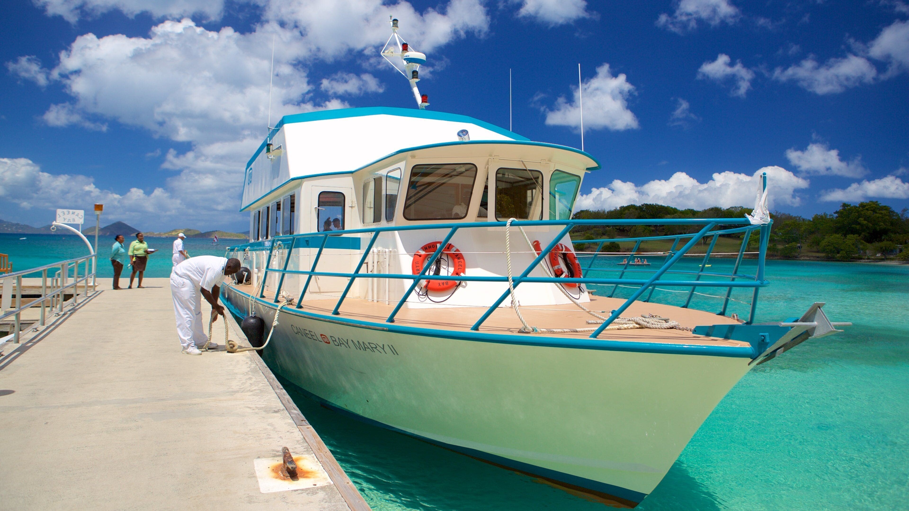 Caneel Bay qui includes paysages côtiers
