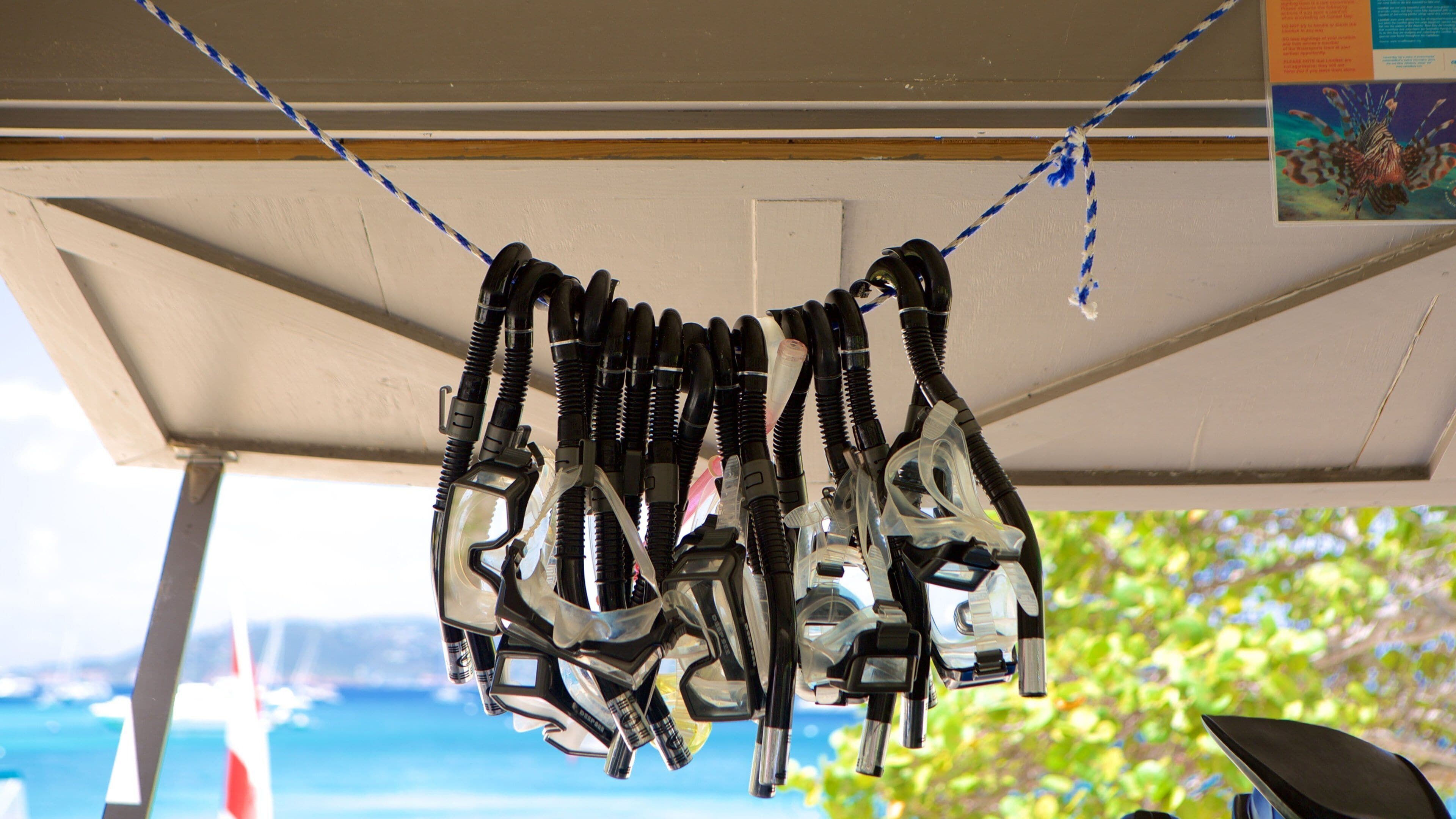 Caneel Bay joka esittää snorklaus