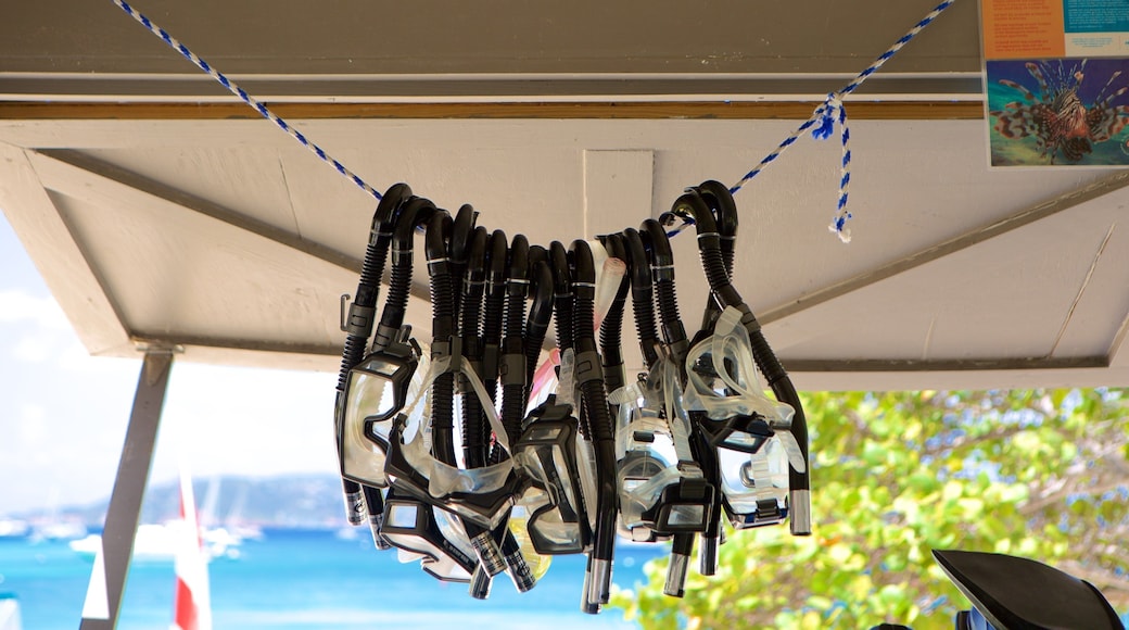 Caneel Bay joka esittÀÀ snorklaus