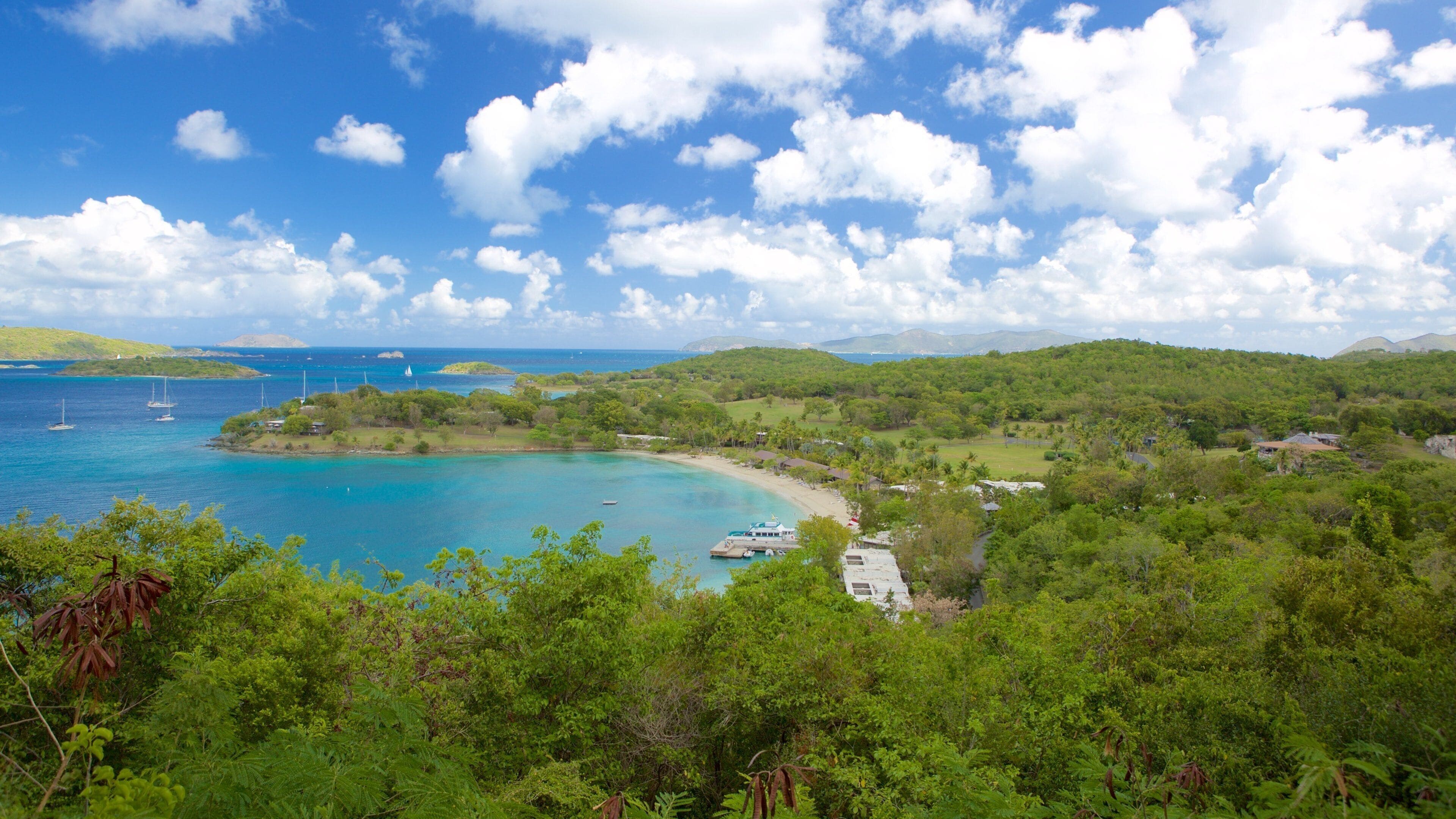 Caneel Bay which includes forest scenes and a bay or harbour