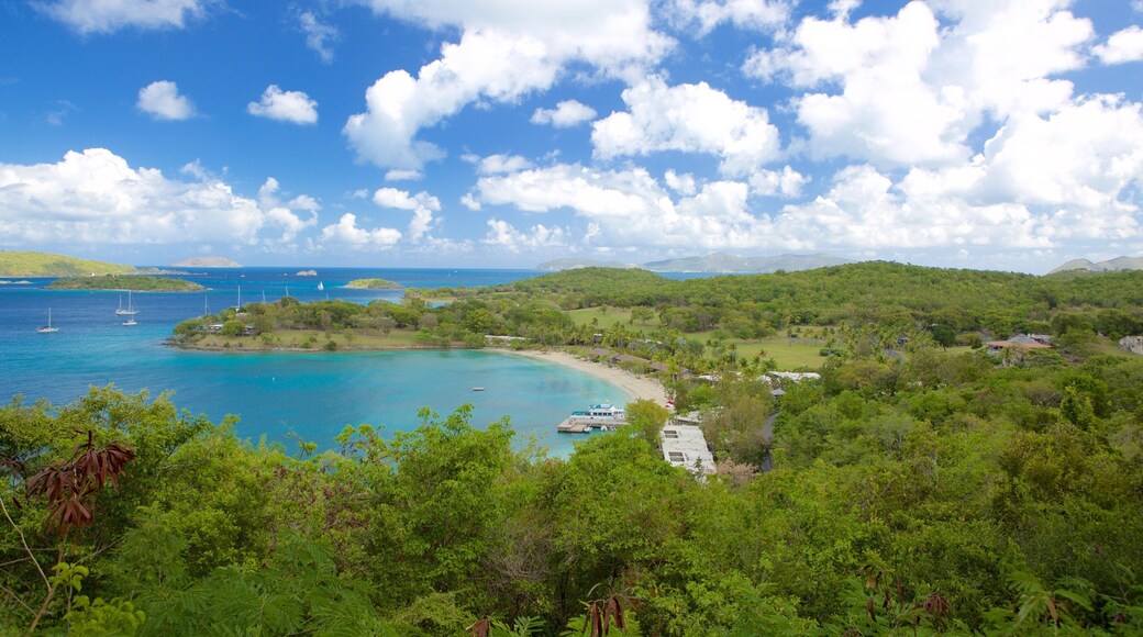 Caneel Bay which includes forest scenes and a bay or harbour