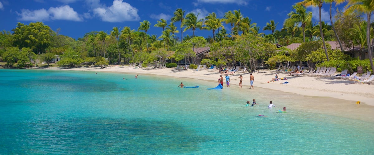 Caneel Bay featuring tropical scenes and a sandy beach