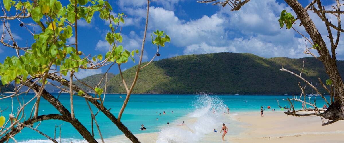 Cinnamon Bay featuring tropical scenes and a beach