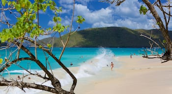 Cinnamon Bay som visar en sandstrand och tropisk natur