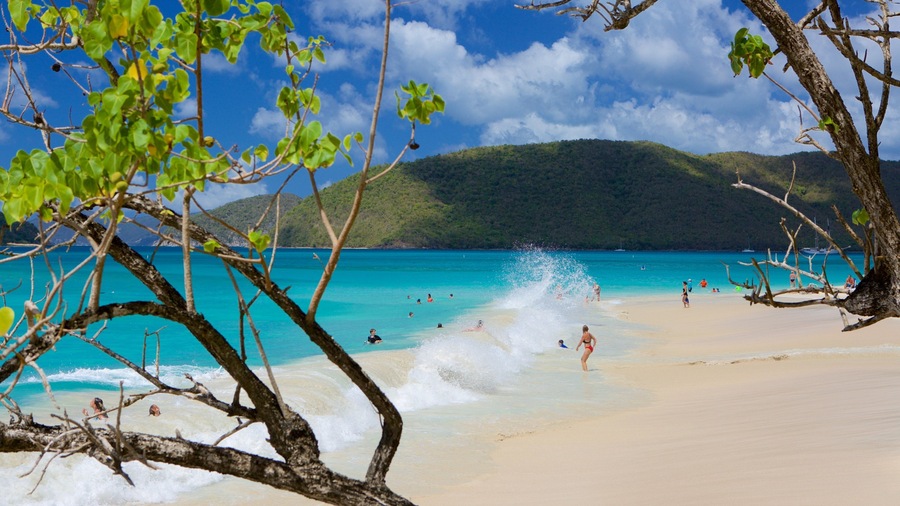 Cinnamon Bay featuring tropical scenes and a beach