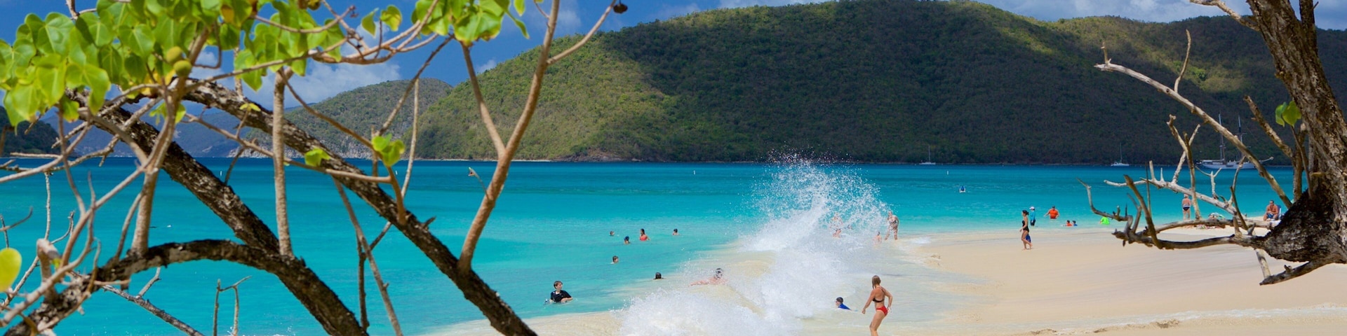 Cinnamon Bay which includes tropical scenes and a sandy beach