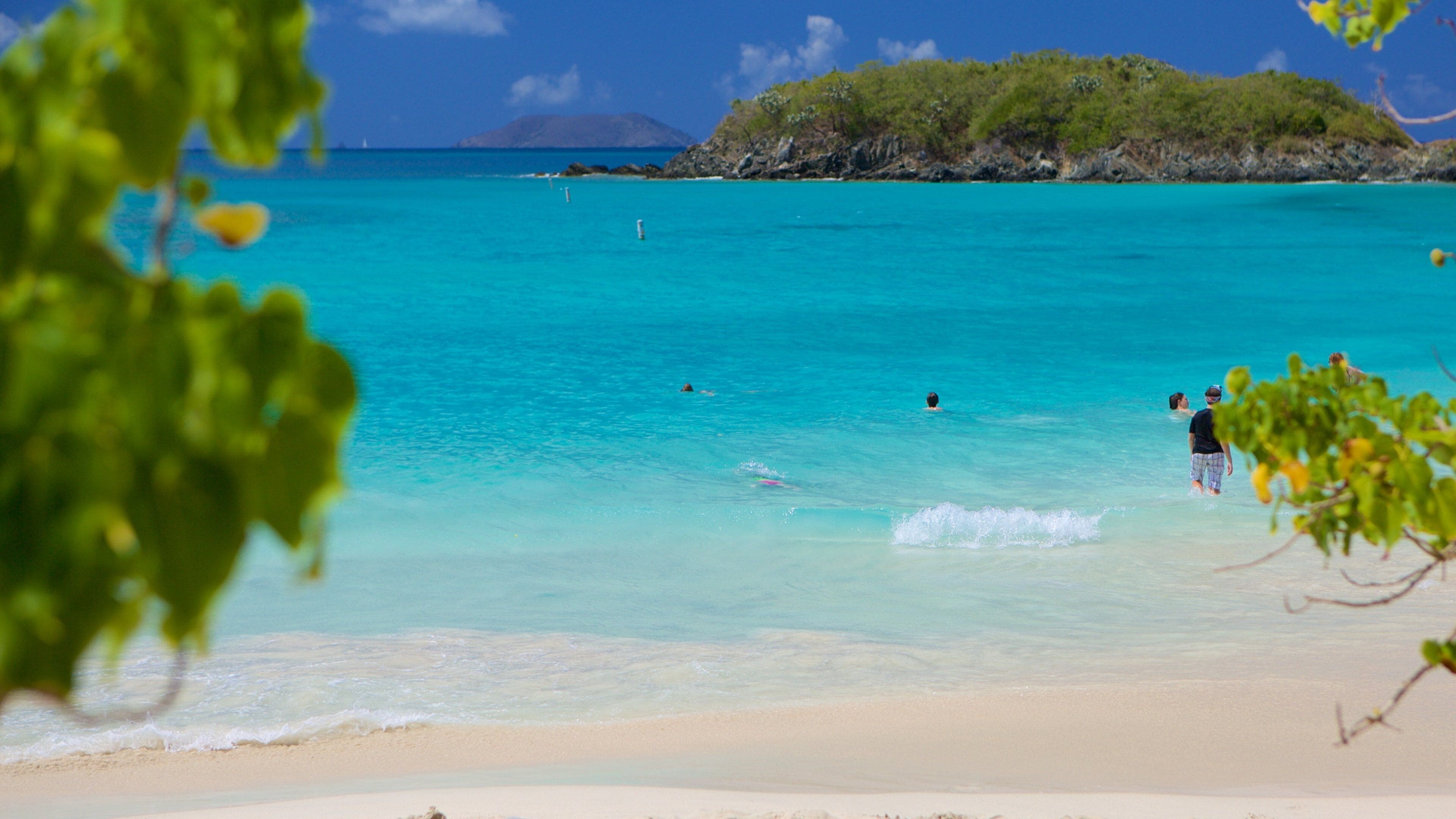 A beach with clear turquoise water, people swimming, and a small island in the background.