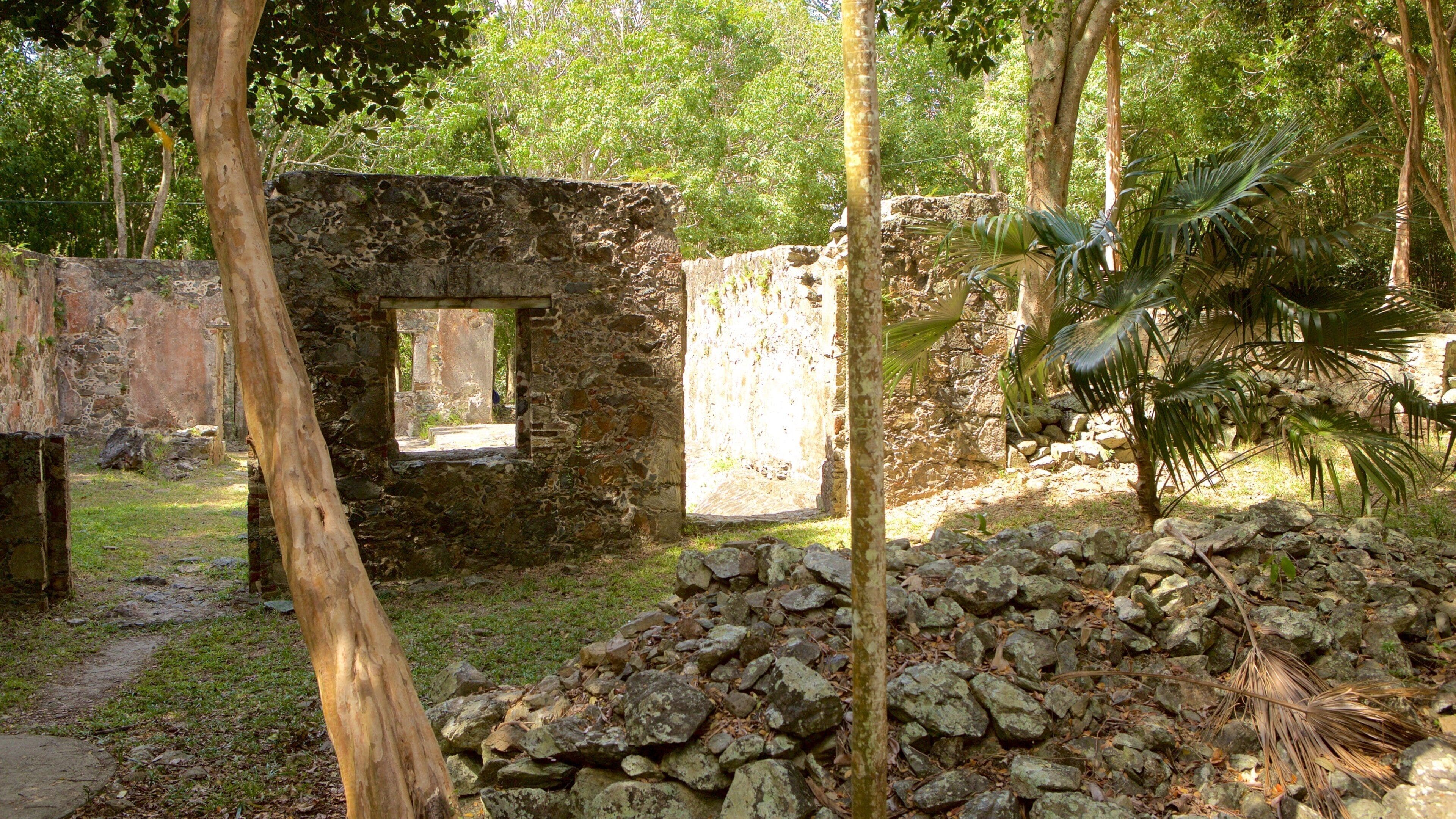 Cinnamon Bay showing building ruins and heritage elements