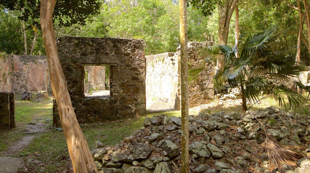 Cinnamon Bay caracterizando elementos de patrimônio e ruínas de edifício