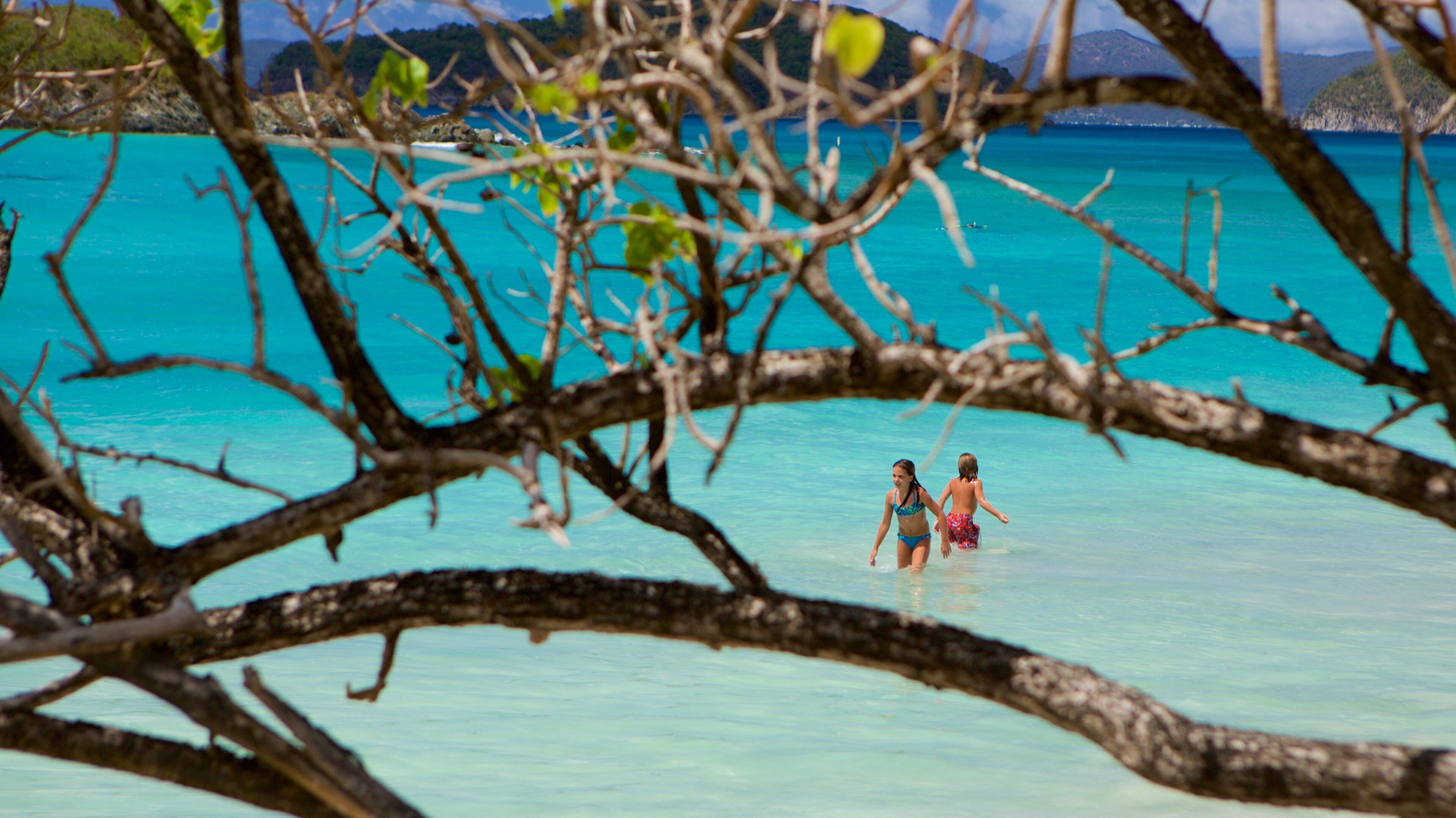 Vịnh Cinnamon cho thấy quang cảnh miền nhiệt đới cũng như trẻ em