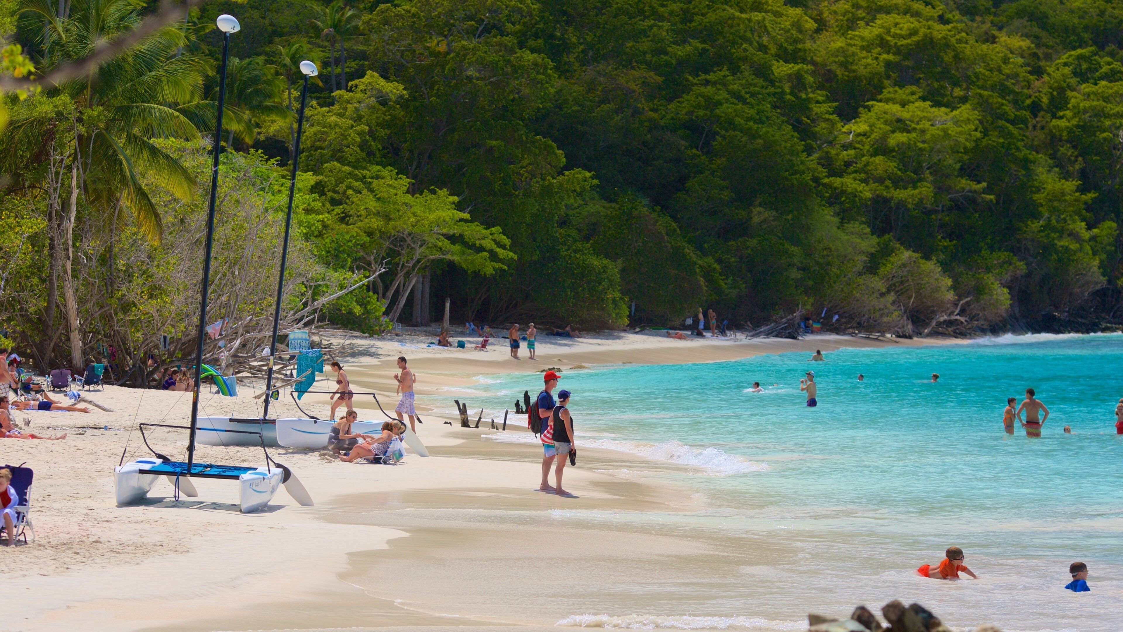 Cinnamon Bay which includes a beach