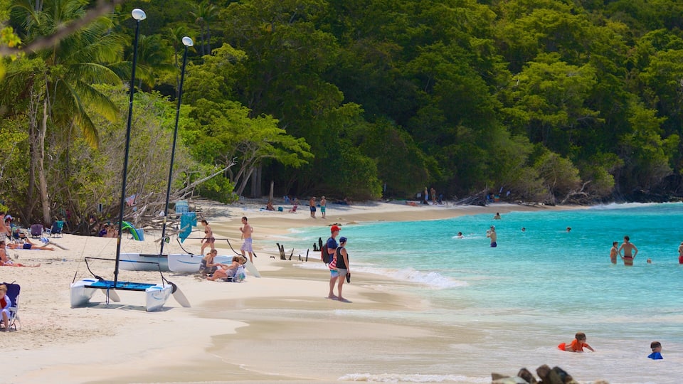 Cinnamon Bay showing a beach