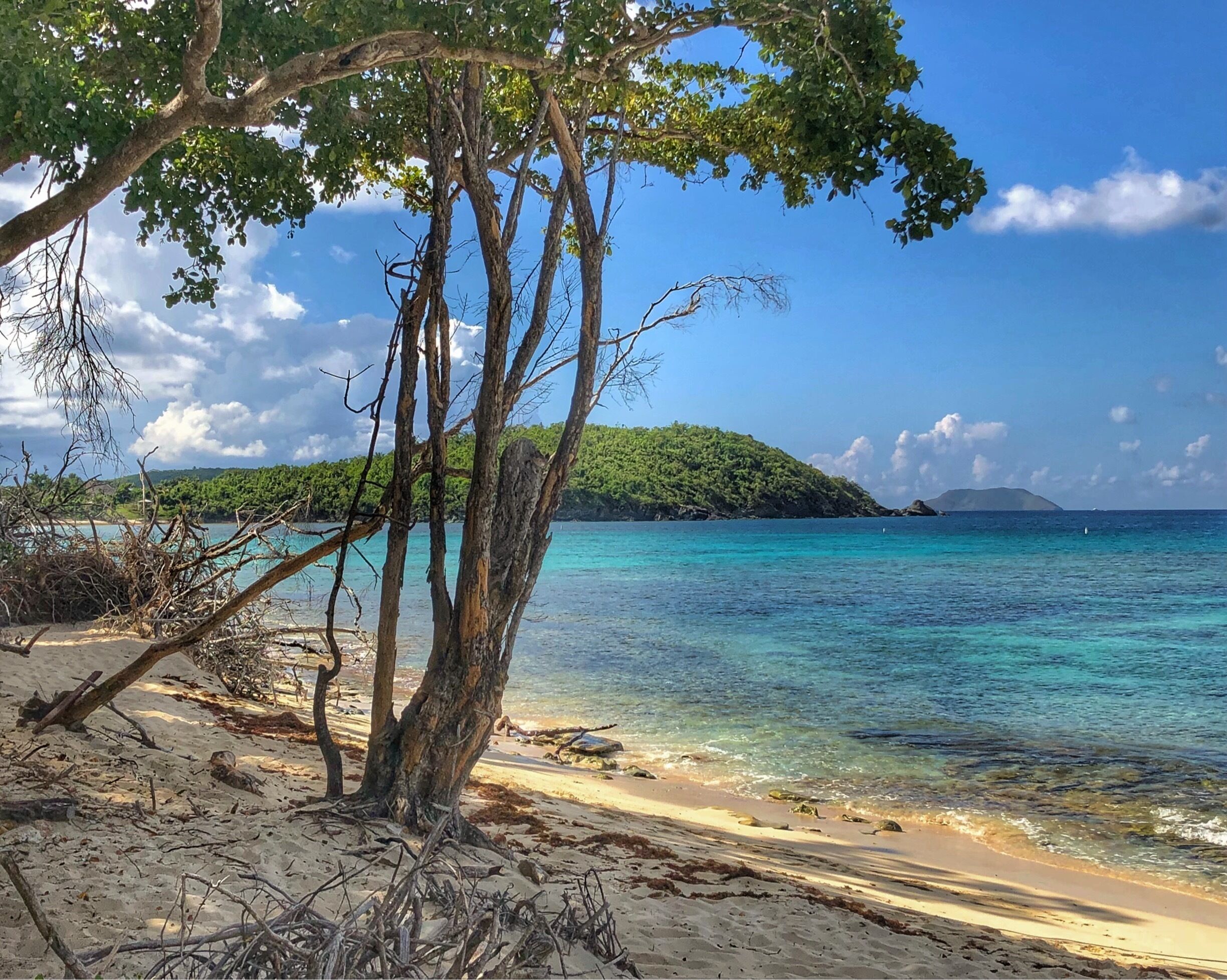 Hawkesnest Beach, St. Thomas USVI