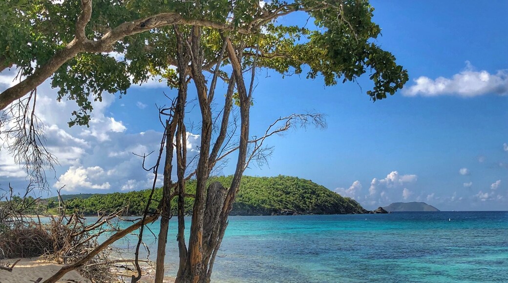 Hawkesnest Beach, St. Thomas USVI