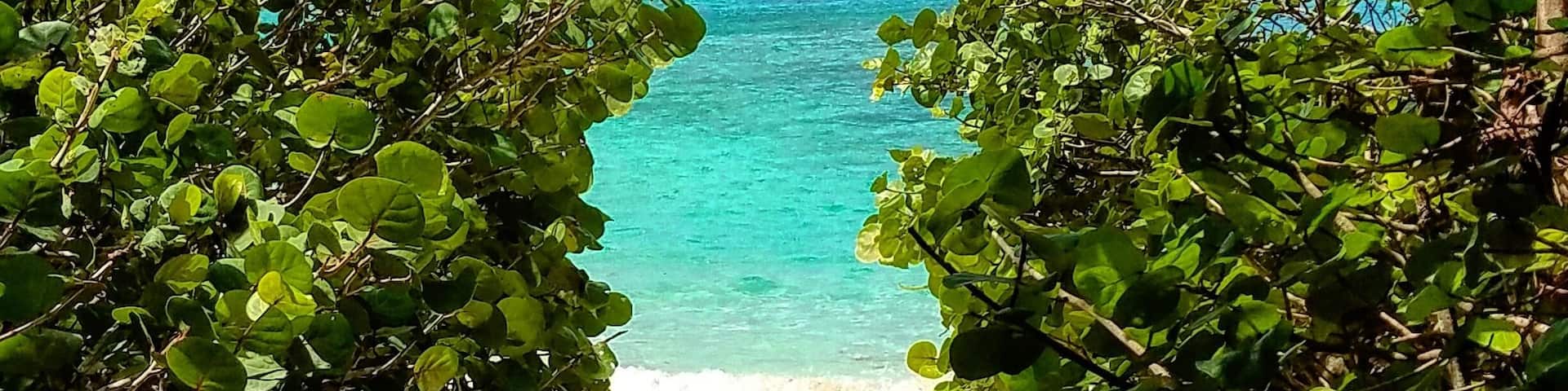 This is the path to happiness!! Follow it to nirvana