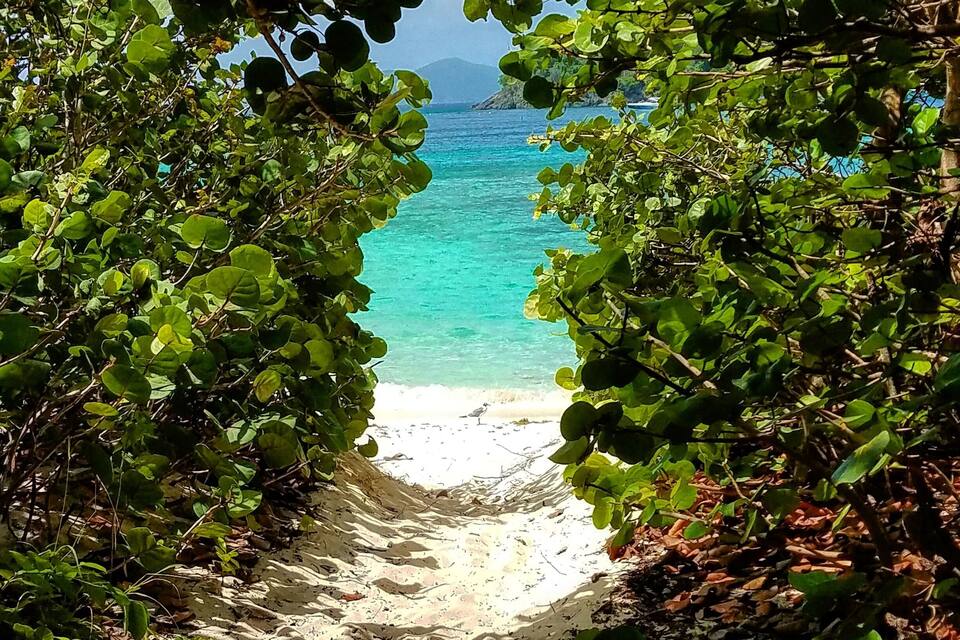 Um caminho que leva a uma praia com águas turquesa cristalinas e montanhas ao fundo.