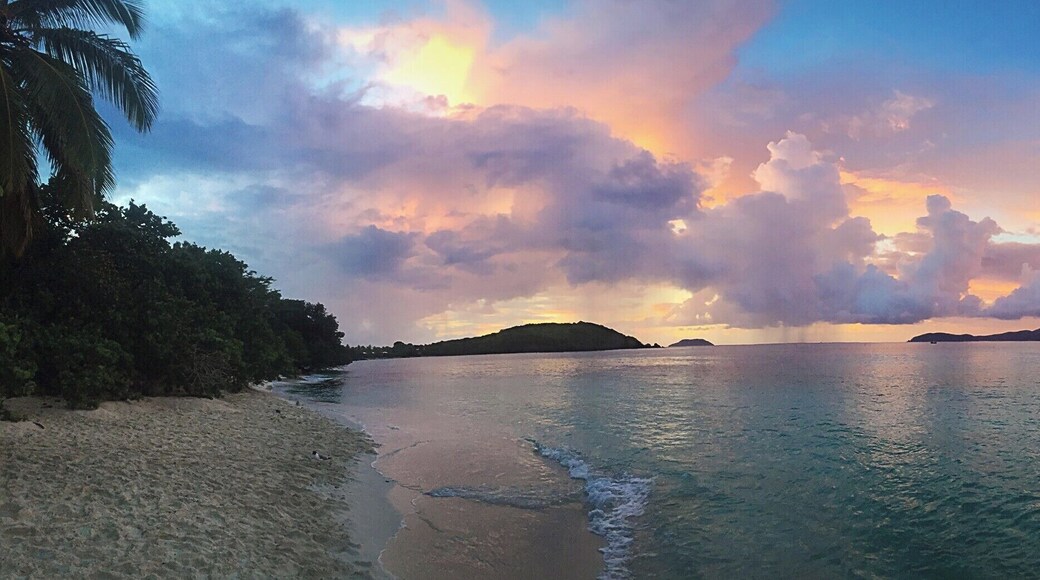 Since I like to sleep late...Here's another sunset from STJ!
#nationalpark #beach #island #sunset #nature