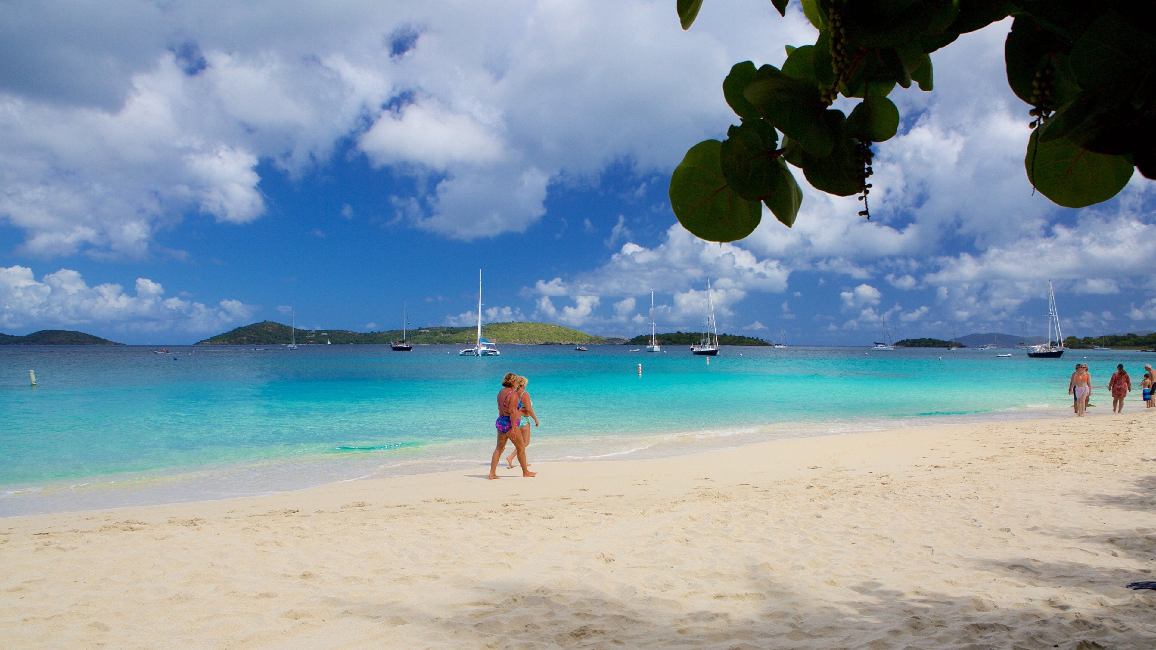 Honeymoon Beach showing a sandy beach