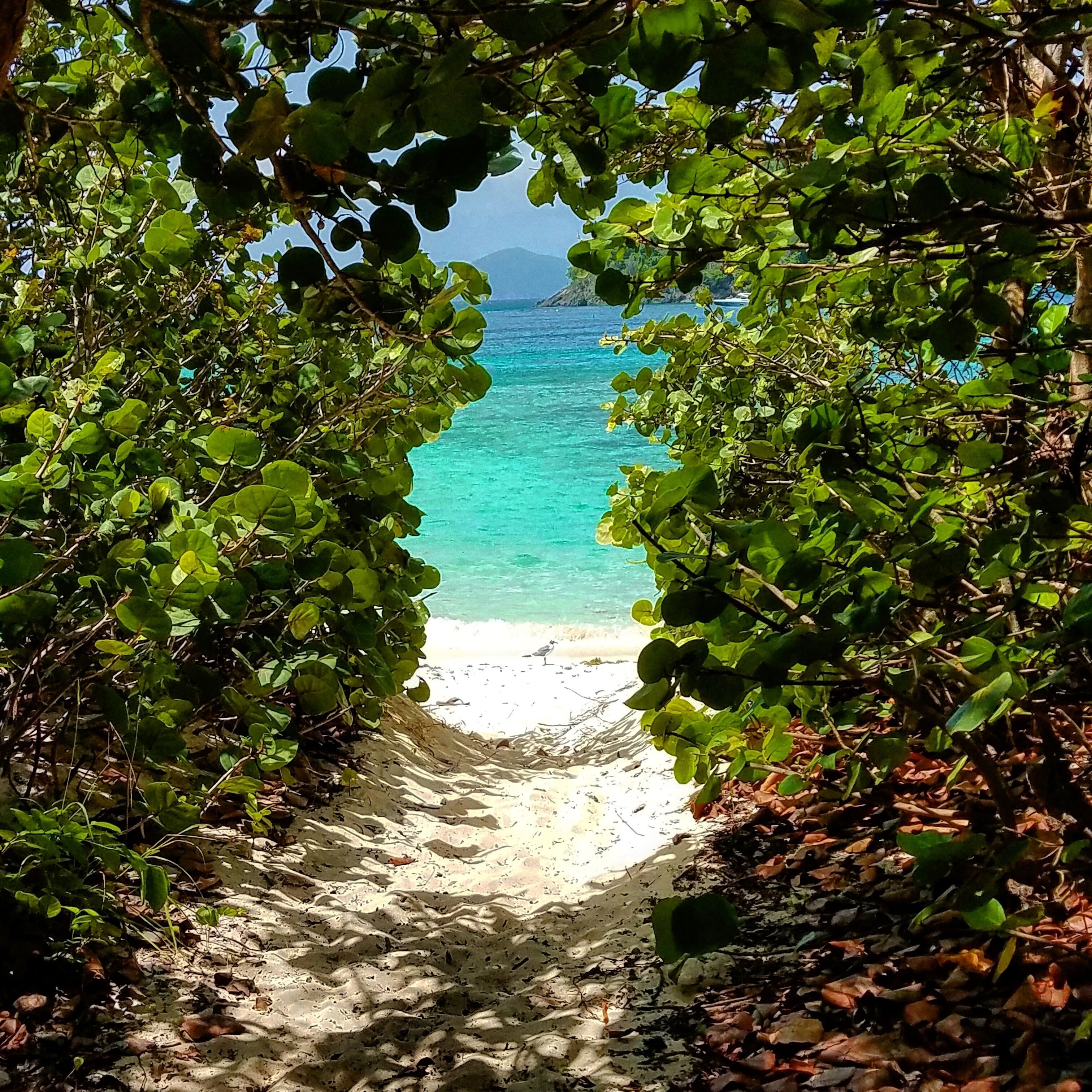 The path to happiness
#happiness #travel #beach #beaches #hiddengem #traveler #peace #caribbean #beachtips