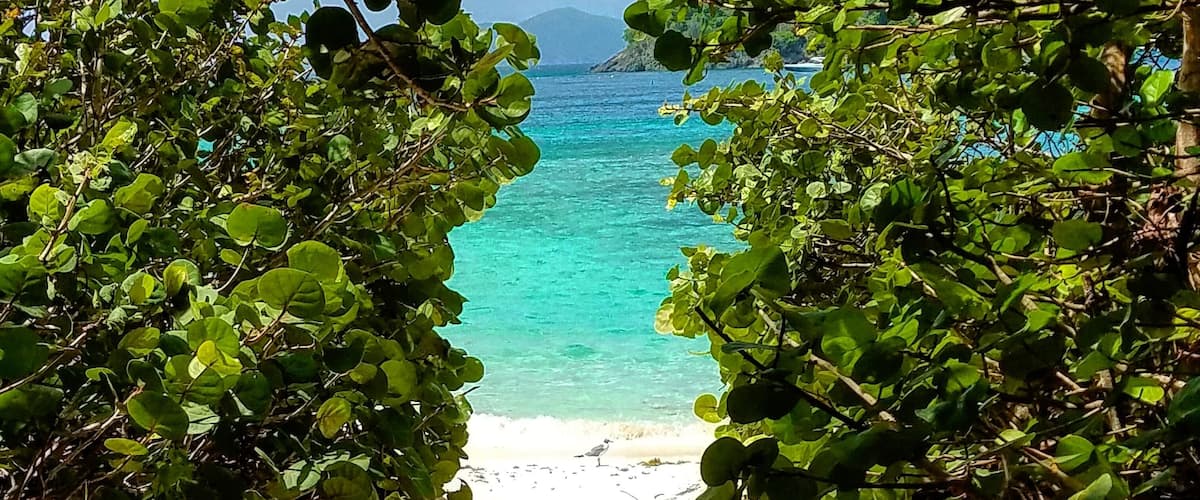 The path to happiness
#happiness #travel #beach #beaches #hiddengem #traveler #peace #caribbean #beachtips