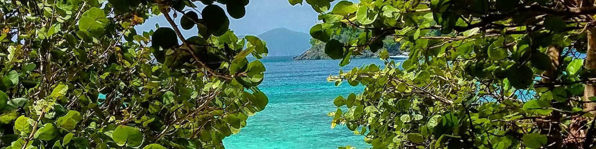 The path to happiness
#happiness #travel #beach #beaches #hiddengem #traveler #peace #caribbean #beachtips