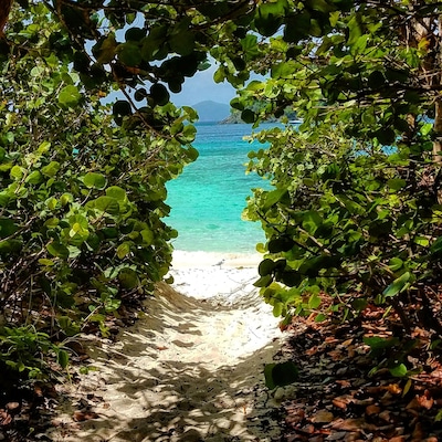 The path to happiness
#happiness #travel #beach #beaches #hiddengem #traveler #peace #caribbean #beachtips