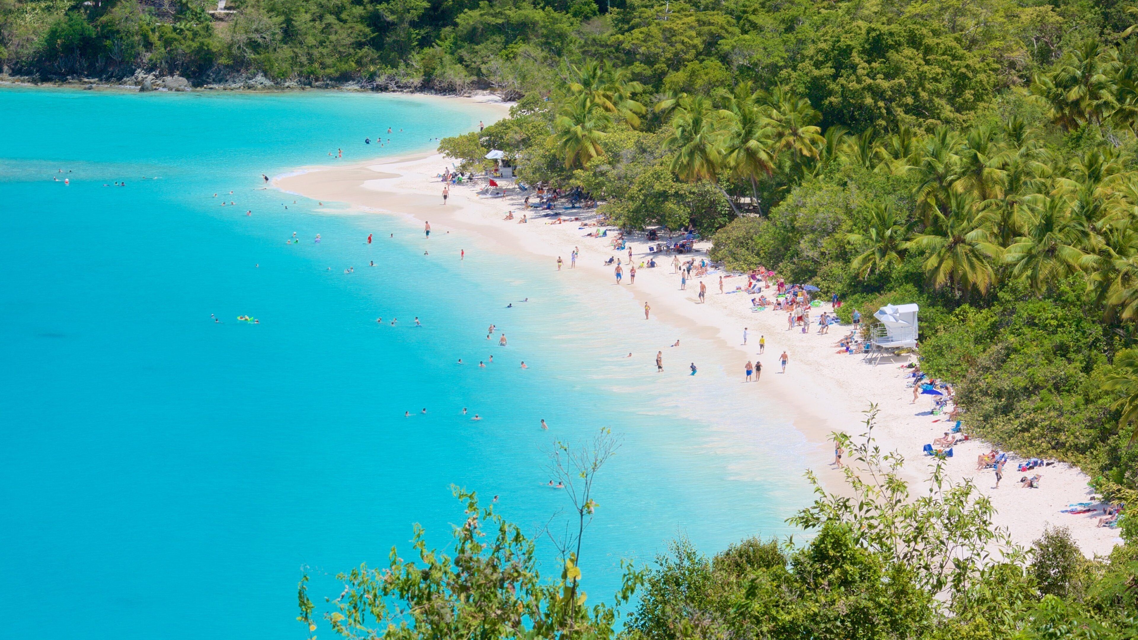 Trunk Bay featuring tropical scenes and a beach