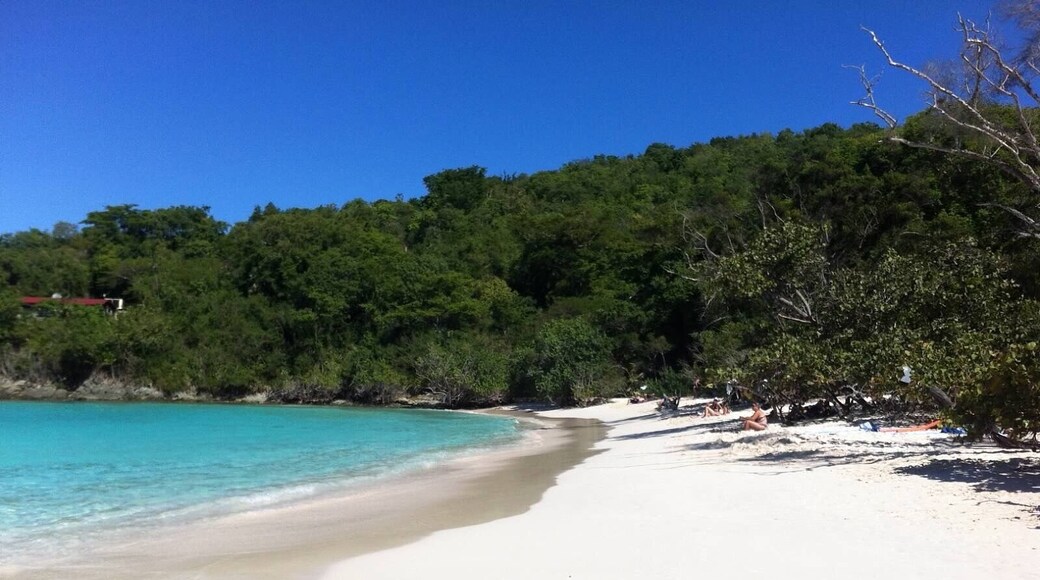 Crystal clear water and white sand at one of the best beaches I have been to.