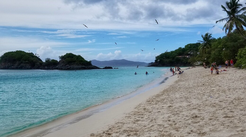 Trunk Bay Beach, the most popular and most photographed beach on St John.
