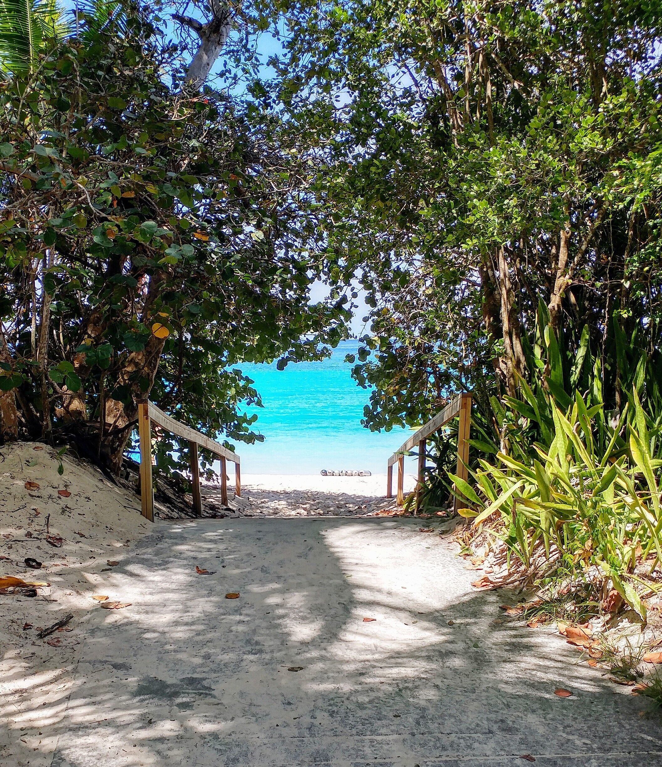 Entry to the gorgeous water of Trunk Bay. 