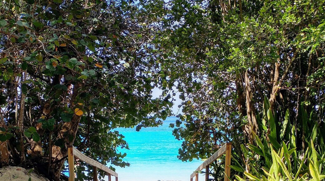 Entry to the gorgeous water of Trunk Bay.