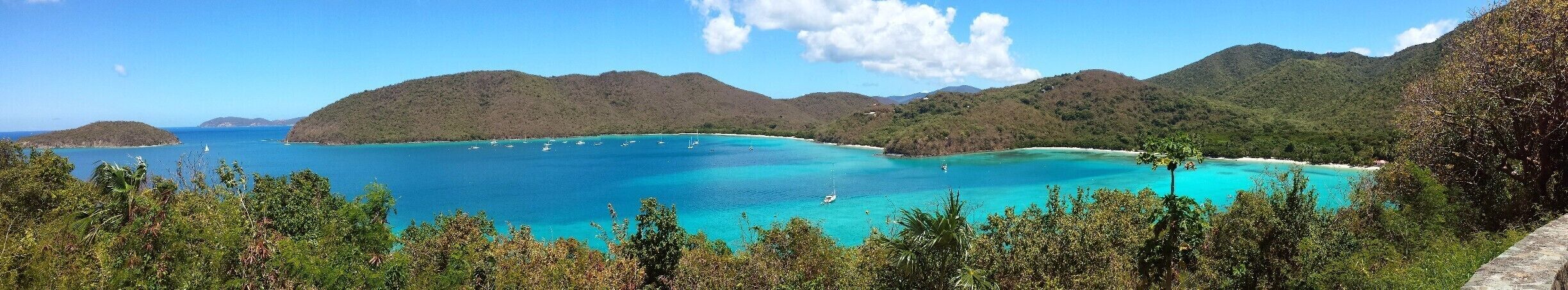 The best snorkeling I have ever done. Pristine beach and amazing people.