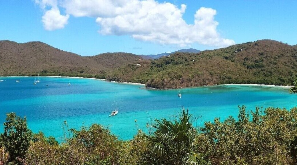 The best snorkeling I have ever done. Pristine beach and amazing people.