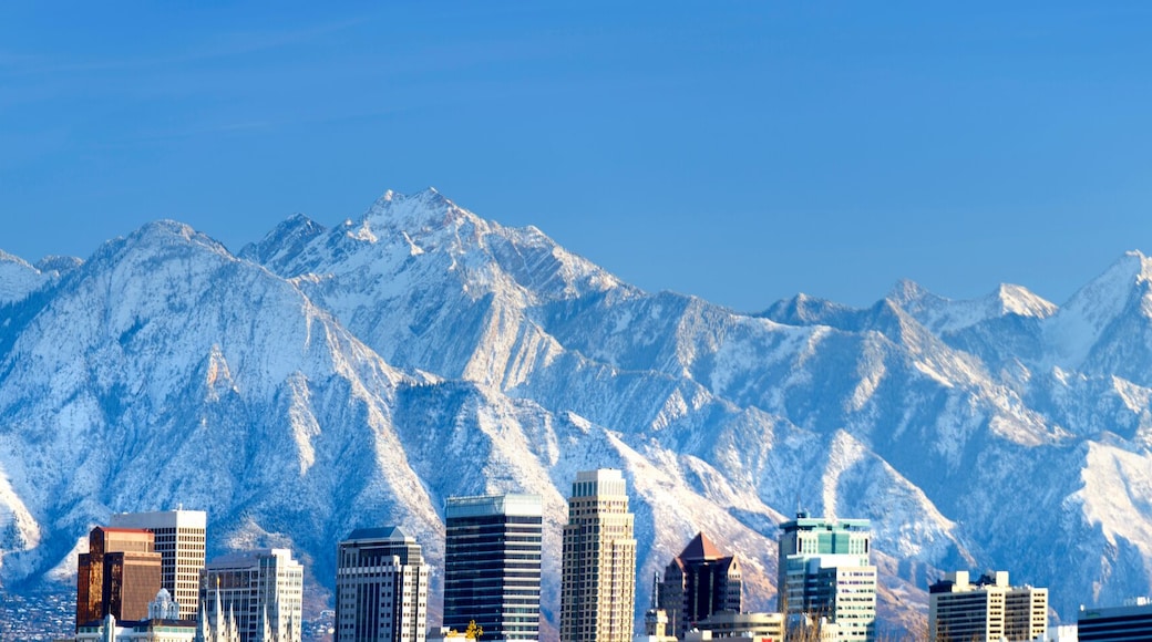 Salt Lake City panorama in winter snow