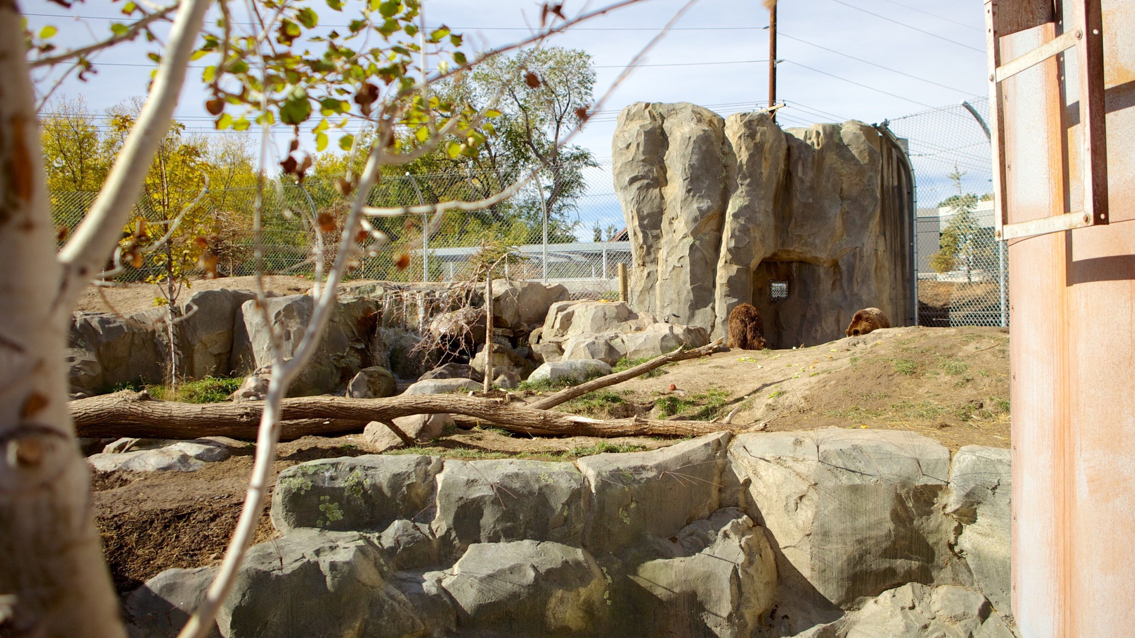 Hogle Zoo showing zoo animals and landscape views