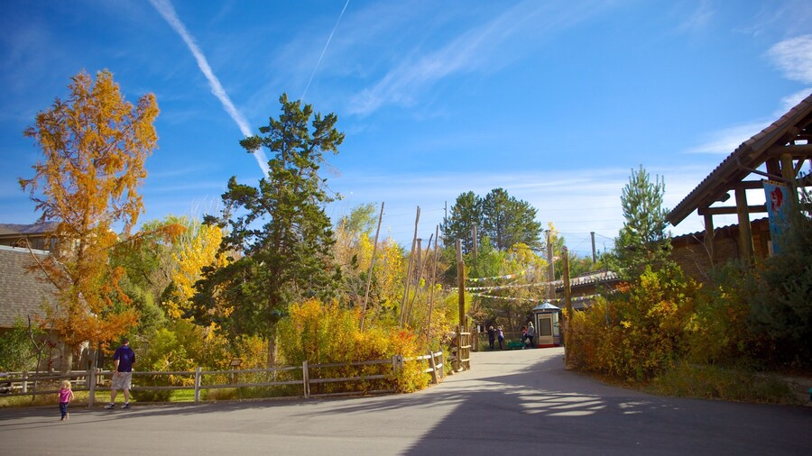 Hogle Zoo showing autumn colours