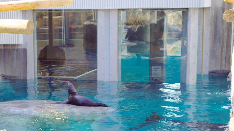 Hogle Zoo som omfatter dyr fra zoologisk have og livet i havet