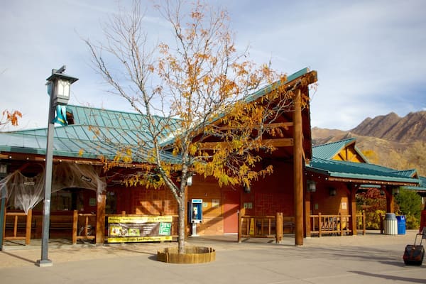 Hogle Zoo mettant en vedette animaux de zoo