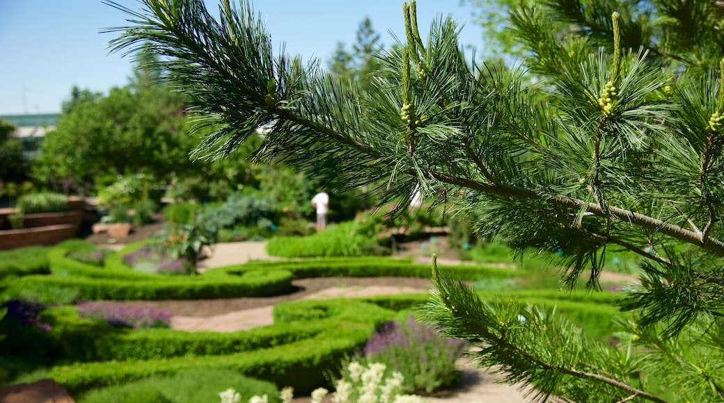 Red Butte Garden and Arboreteum which includes a park