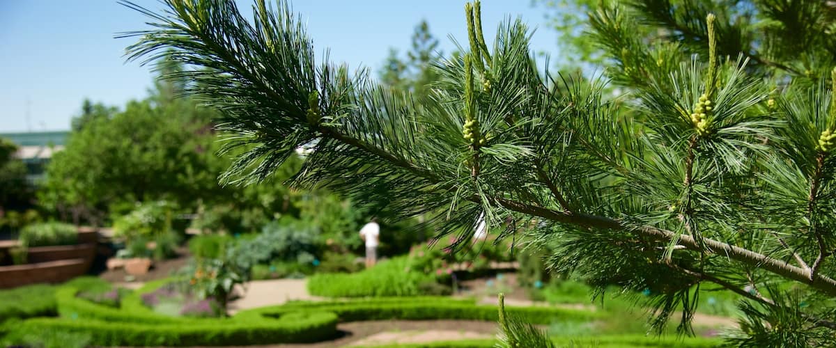 Red Butte Garden and Arboretum which includes a park